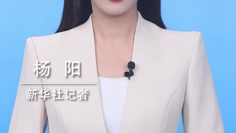 数据治理的基石：元数据管理规范标准为何如此重要